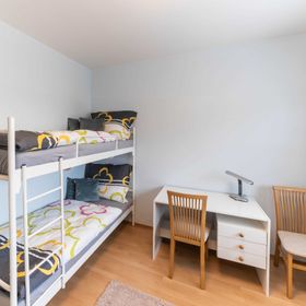 Apartmá Lípa Liberec