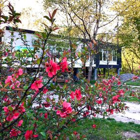  Fekete Gólya Pihenőház Baja