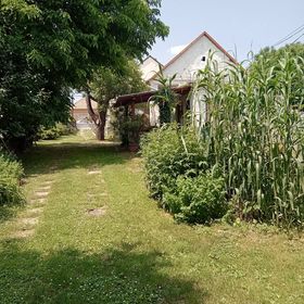 Dani Pince és Vendégház Villány