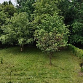 Tobak Vendégház Békésszentandrás