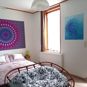 Esőerdő Apartman Eger