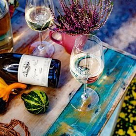 Borárium Vendégházak - Zenit Ház Pázmánd