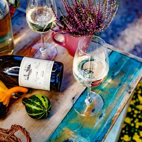 Borárium Vendégházak - Zenit Ház Pázmánd