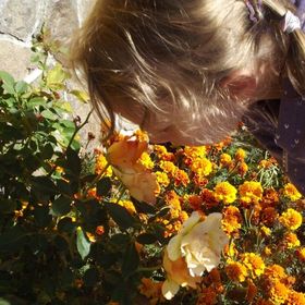 Apartamente Turistice Corund