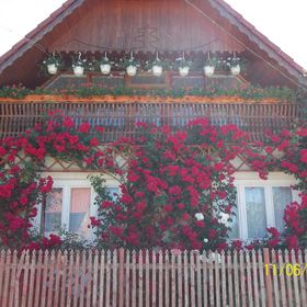 Casa de Oaspeți Kopó Chibed