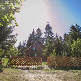 Casa de vacanță Laura Borzont
