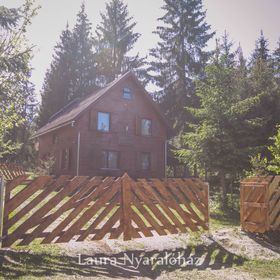 Casa de vacanță Laura Borzont