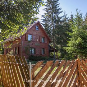 Casa de vacanță Laura Borzont