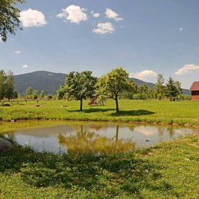 Casa Boglárka Borzont