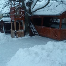 Gold Fayen House Tureni