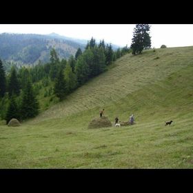 Casa de oaspeți Fintu Poiana Fagului