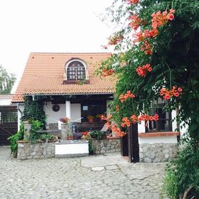 The Country Hotel Hărman