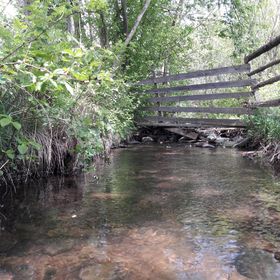 Cabana Hunor-Magor Izvoare