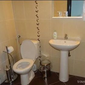 Pensiunea Lipicai Chichiș