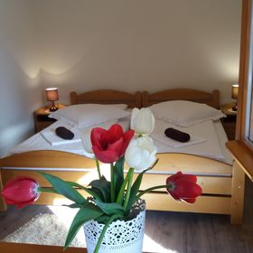 Pensiunea Lányi Feliceni