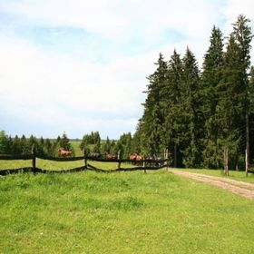 Pensiunea Sopárkút Băile Homorod