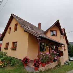 Casa de oaspeți Gergely Zetea