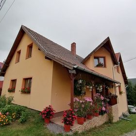 Casa de oaspeți Gergely Zetea