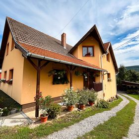 Casa de oaspeți Gergely Zetea