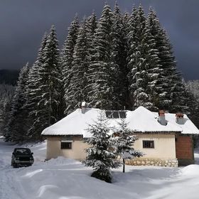 Cabana Pietricica Dâmbovicioara