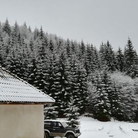 Cabana Pietricica Dâmbovicioara