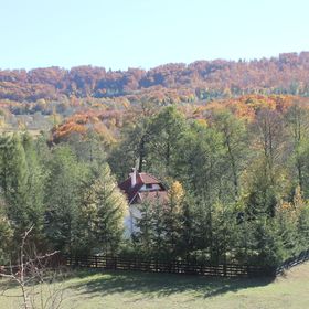 Casă de vânătoare Banucu Satu Mare