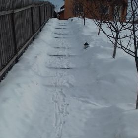 Casa de oaspeți Bálint Ciba