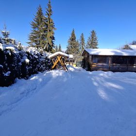 Casa de oaspeți Pinul Argintiu Borzont