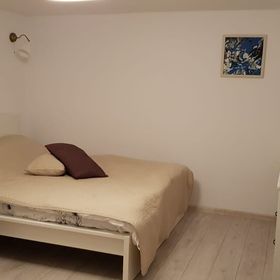 Apartament Vaso Sinaia