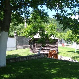 Casa de vacanță La Moara Eșelnița