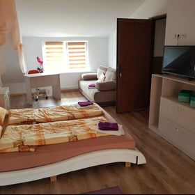 Cabana La Fermă Vișeu de Sus