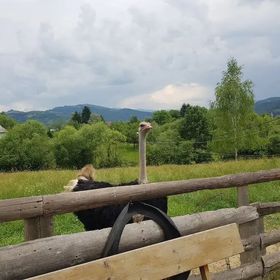 Cabana La Fermă Vișeu de Sus