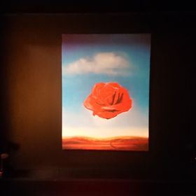 Garsoniera Dali-Nottara București