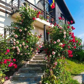 Căsuța cu Trandafiri 1 Slănic