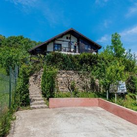 Căsuța cu Trandafiri 1 Slănic