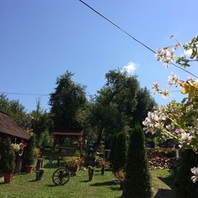 Pensiunea Dorel Petreuș Botiza