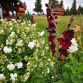 Cabanele FloriCrin Mărișel