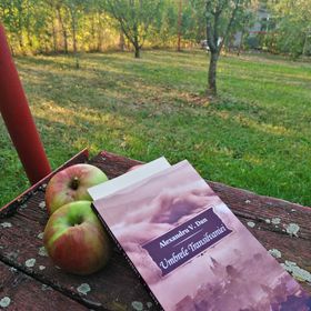 Casa de Oaspeți Uioara Ocna Mureș