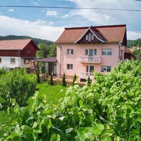 Vila Teo Bărăști