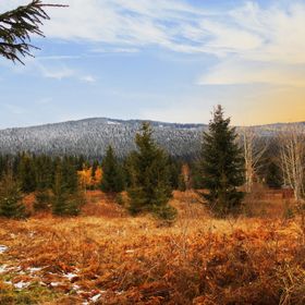 Cabana Margaretta Borzont