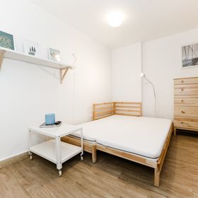 Catargi Studio Iași