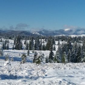 Cabana Dragoș Paul Dealu Negru