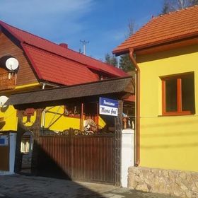 Pensiunea Mama Ana Horea