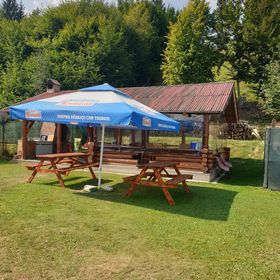 Pensiunea Andreea Măliniș