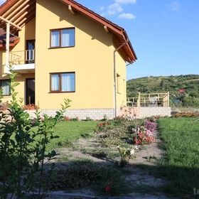 Pensiunea Diana Bârlad