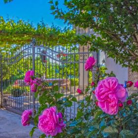 Apartmani Miletic Novi Vinodolski