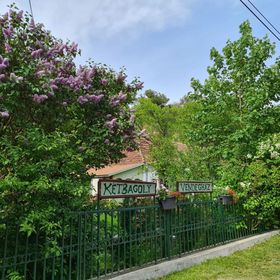 Két Bagoly Vendégház Vágáshuta