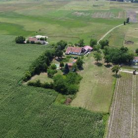 Turul Tanya Mórahalom