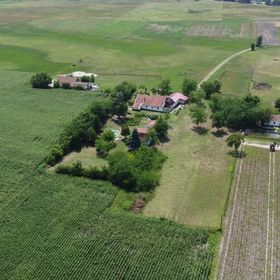 Turul Tanya Mórahalom