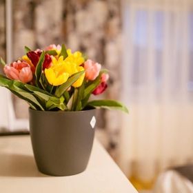 Apartament Maria 1 Alba Iulia